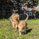 Elena Acosta Frugoni