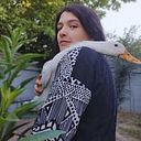 Daniela Lillo Muñoz