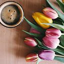 Arlette Nicole Cerna Ramírez