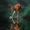 carlosandressierra73