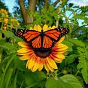 Paula Andrea Villegas Moreno