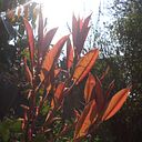 Jen Mitchell-Anderson