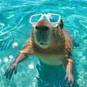 franciscoramosmilla137