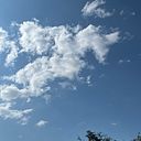 mariajosebolivarcadavid