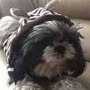 janel_m_lim