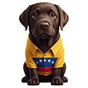 angelagabrielazavaleta