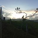 Luis Angel Franco Florez