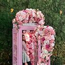 nooshin_firoozbakhsh