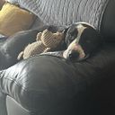 Elvia Ruth Hoyos Luna