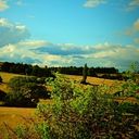 sabine_muellermedien