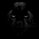 Kevin Elgueta Suárez