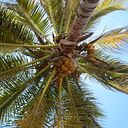 Begoña Gallardo García