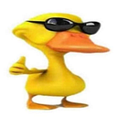 denizbilgenoglu06