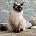 Anita Orihuela Caballero