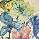 Valery Solier