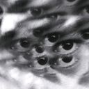 Sergio García Fernández