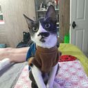 Sofia Gamonal Fuster