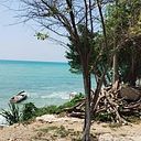 Yeimer Loaiza Sierra