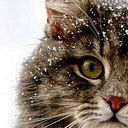 Denise Vieira Mendes