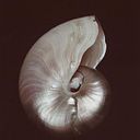 Susana Ruiz Jaramillo