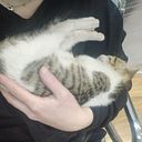 Αθηνά Καβαδέλλα