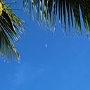 Carlos Enrique Sánchez Gómez