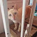 Sayreli Montalvo Lizama