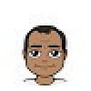 apis_marcos