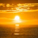 Xenia Gomez Capdevila