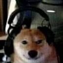 dariakuralex