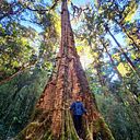 Sebastián de Jesús Solís Sorio