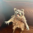 Nadia Ugarte Sánchez