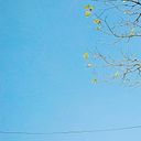 hangnguyen589