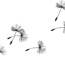 jaymehunt_1746535627