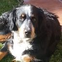 Francisco Fernandez Martin-fontecha