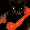 PONSHYIRI JAYA PRAKAS