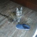 Sandra Pérez Santolaria