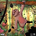 maximilianoadarosaraya