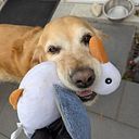 Nathaly Gomes Jardim