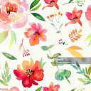 Claudia Macarena Tapia Jerez