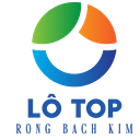 Lô Top