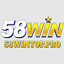 58wintoppro