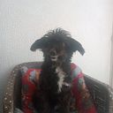 Milagros del Carmen Mojica Tafur