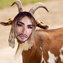 Jordi Sanchis
