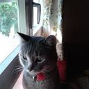 Rodolfo Picazo Pérez