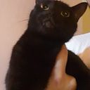Gabriel Oscar Sandoval