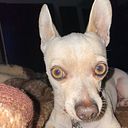 Jose Alejandro Porras Valencia