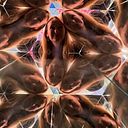 Maria Christina Handberg