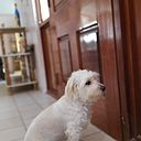 Nahum Zavala Salcido