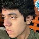 Luis Andru Zamarron Rojas